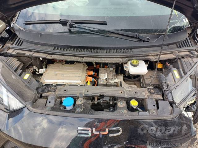 2025 BYD DOLPHIN MINI 