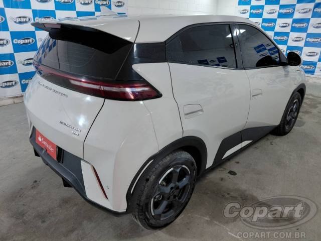 2025 BYD DOLPHIN MINI 