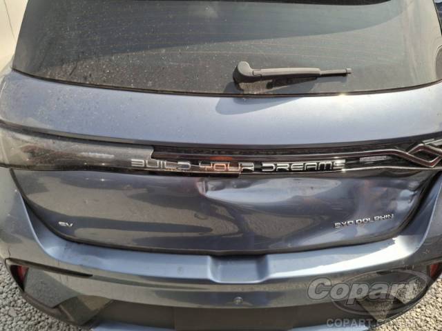 2025 BYD DOLPHIN 