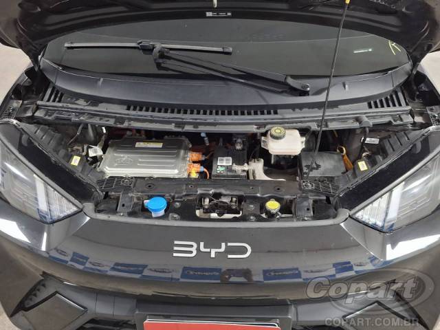 2025 BYD DOLPHIN MINI 
