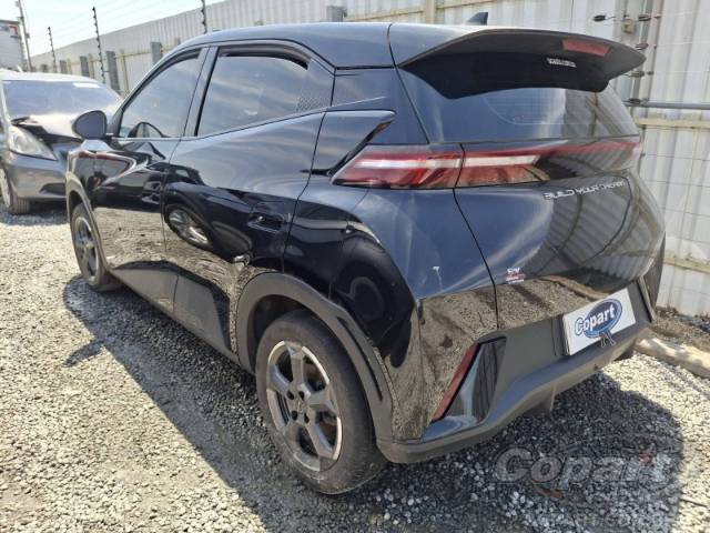 2024 BYD DOLPHIN MINI 