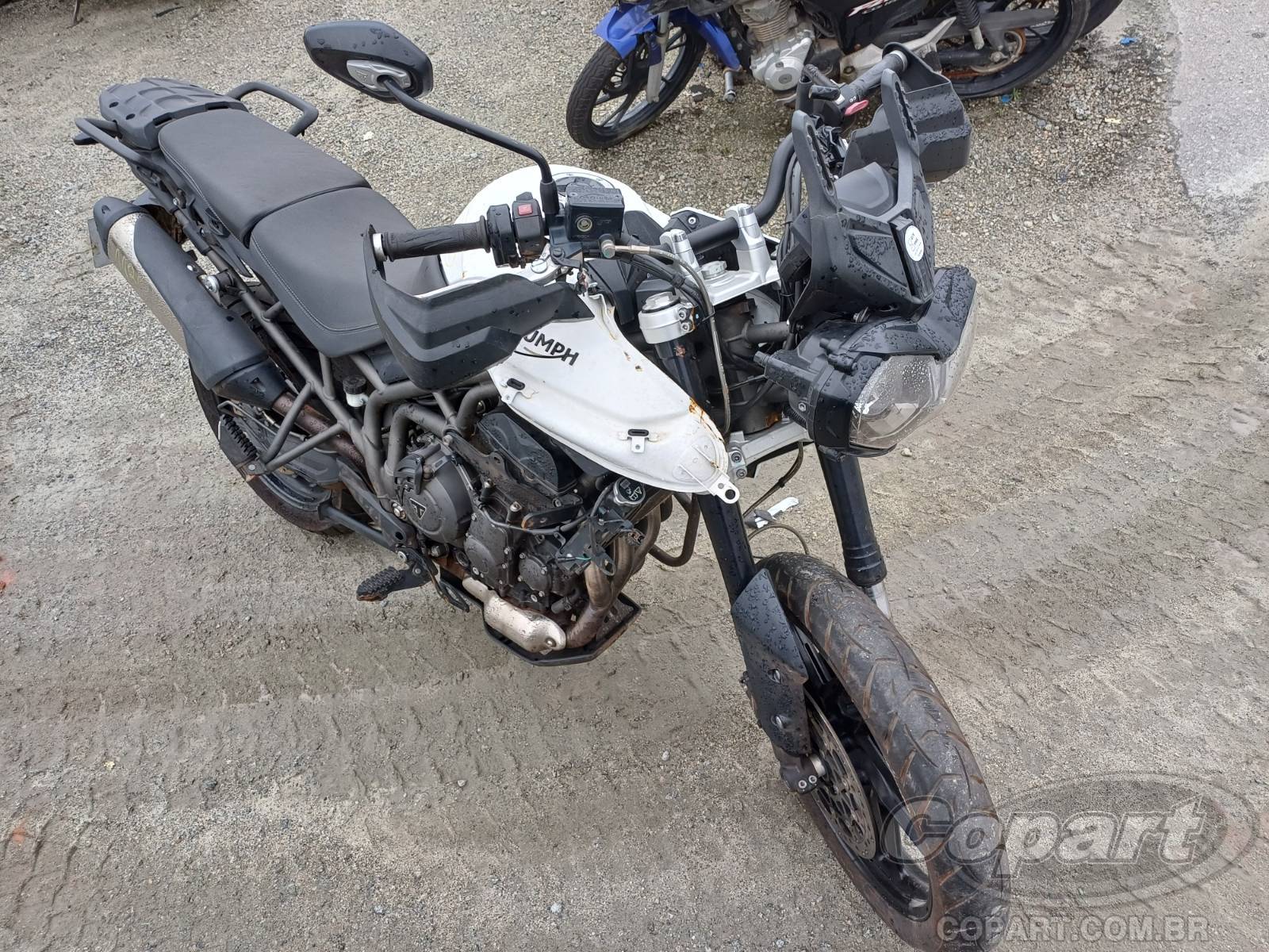 Triumph Tiger 2020