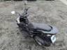2024 HONDA PCX 
