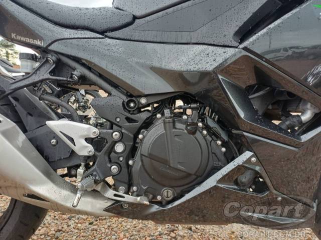 2025 KAWASAKI NINJA 500 