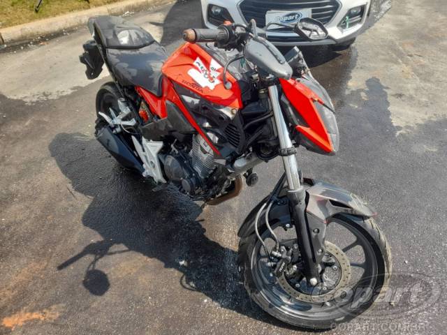 2024 HONDA CB 300F 