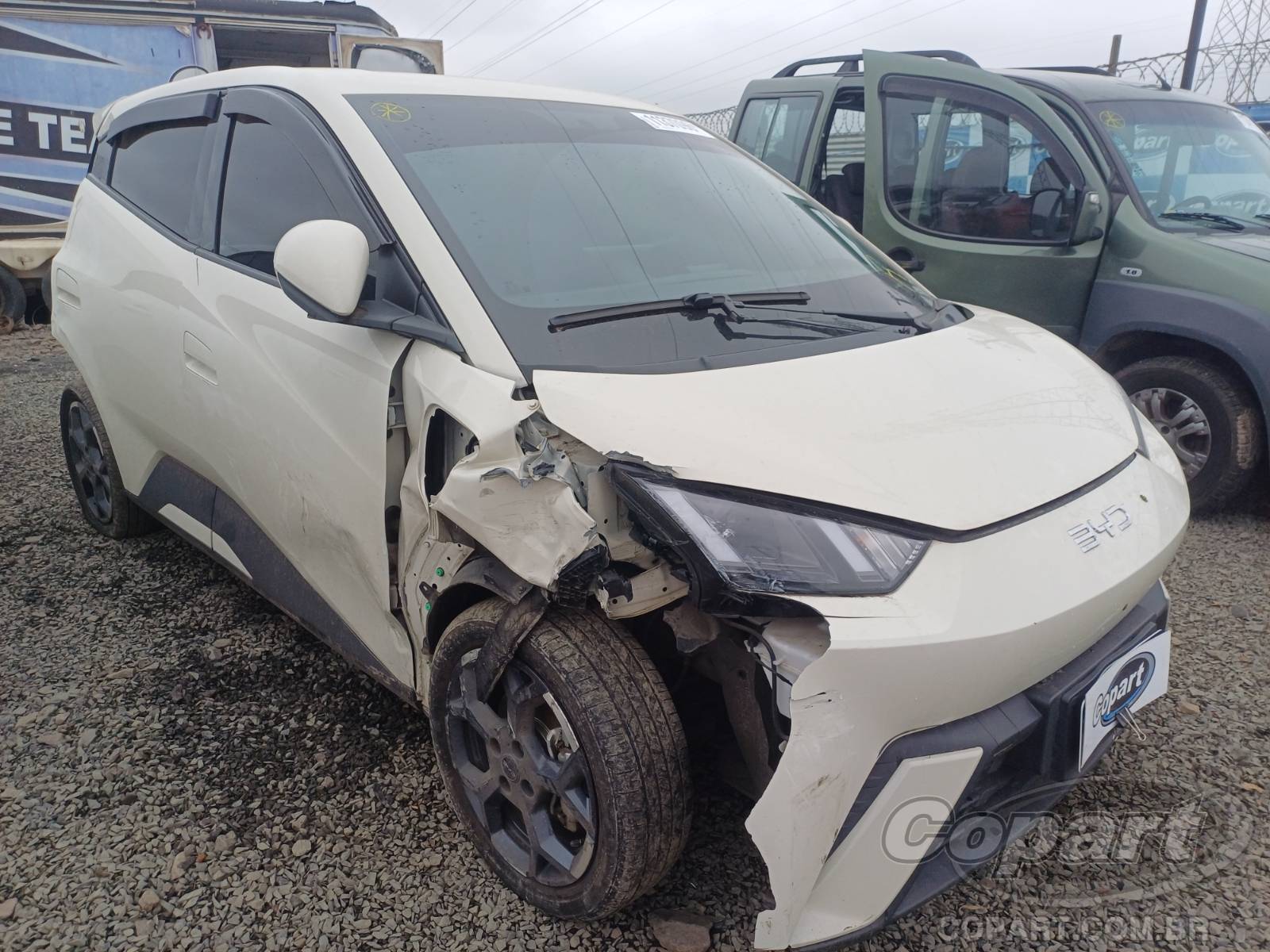 BYD Dolphin Mini 2026