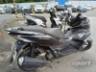 2024 HONDA PCX 