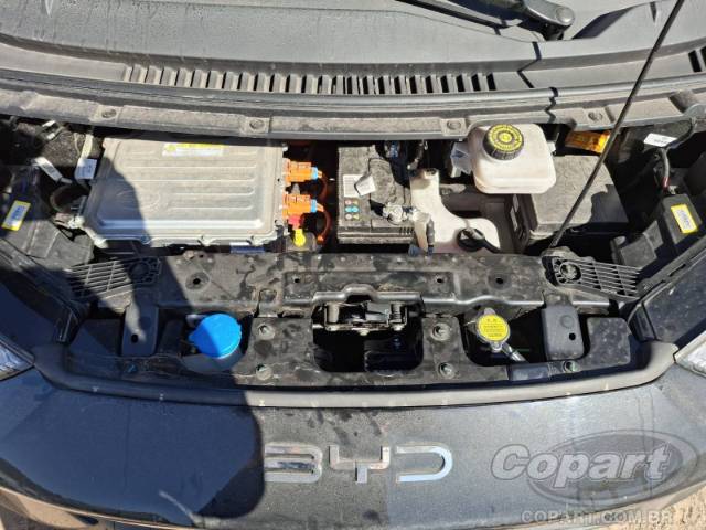 2025 BYD DOLPHIN MINI 