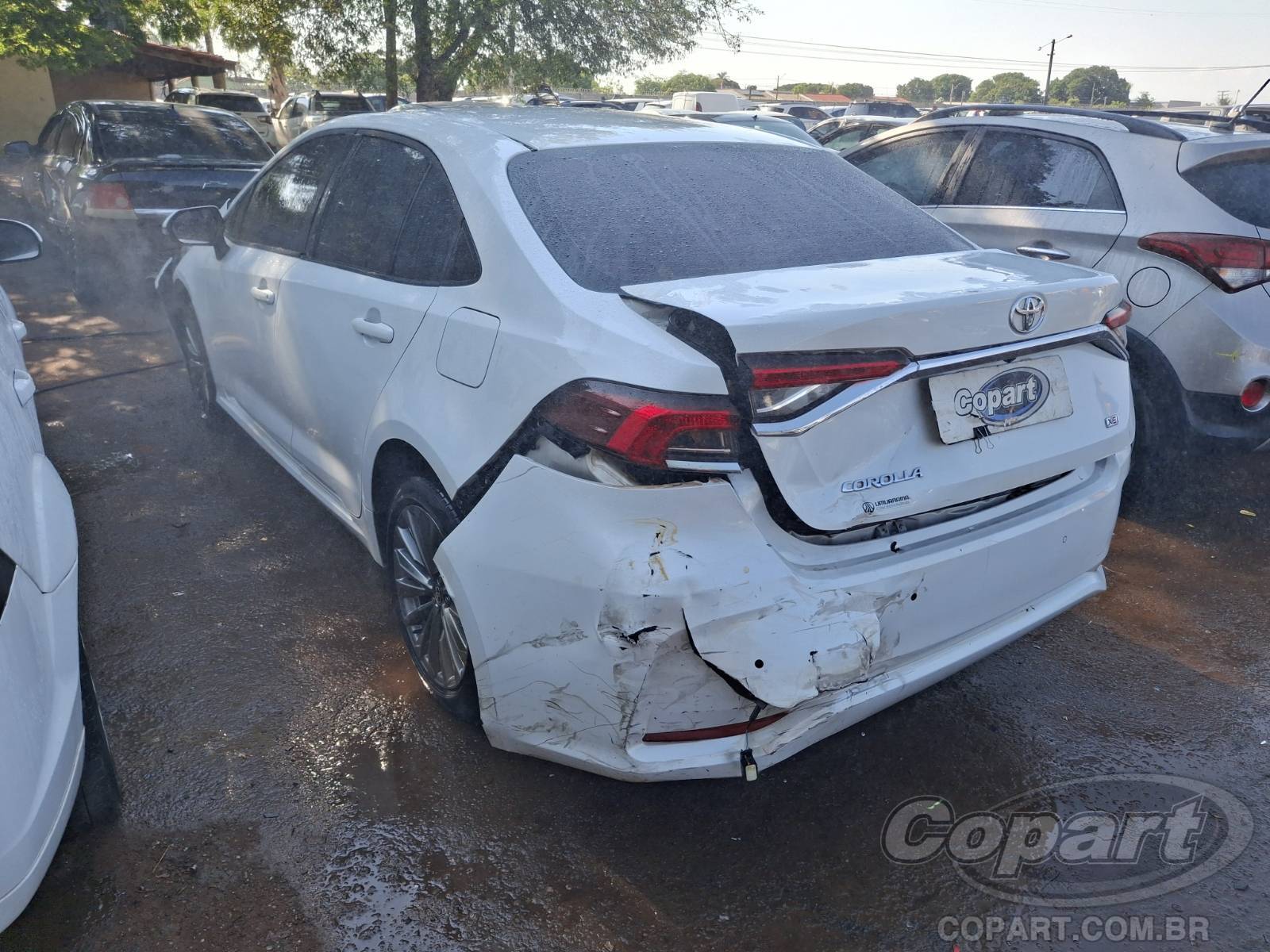 Foto 3: 2024 TOYOTA COROLLA