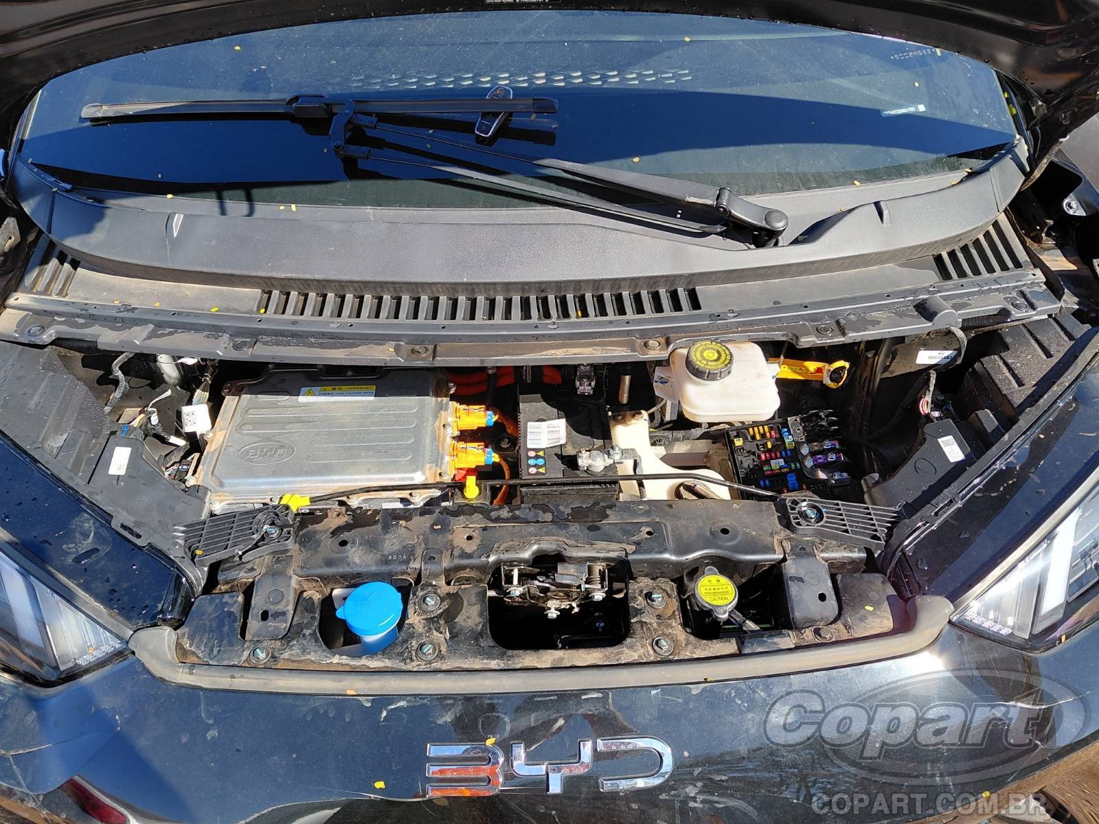 2025 BYD DOLPHIN MINI — foto 7 de 10
