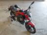 2023 HONDA CB 300F 