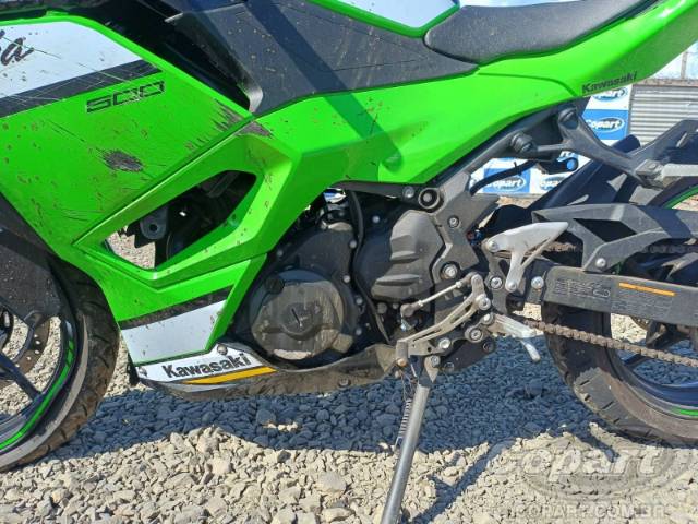 2025 KAWASAKI NINJA 500 