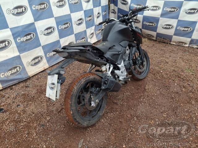 2023 HONDA CB 300F 