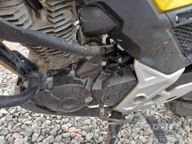 2024 HONDA CB 300F 