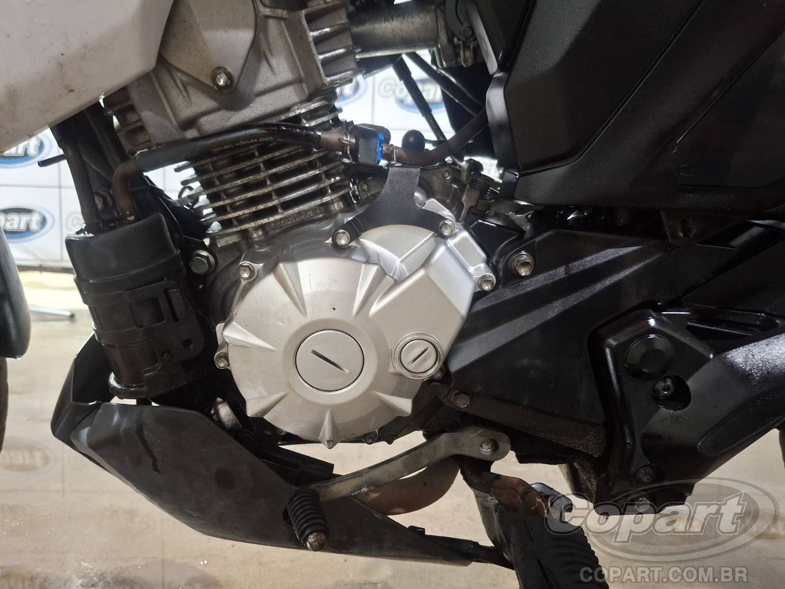 Foto 6 de 10: 2025 YAMAHA FACTOR