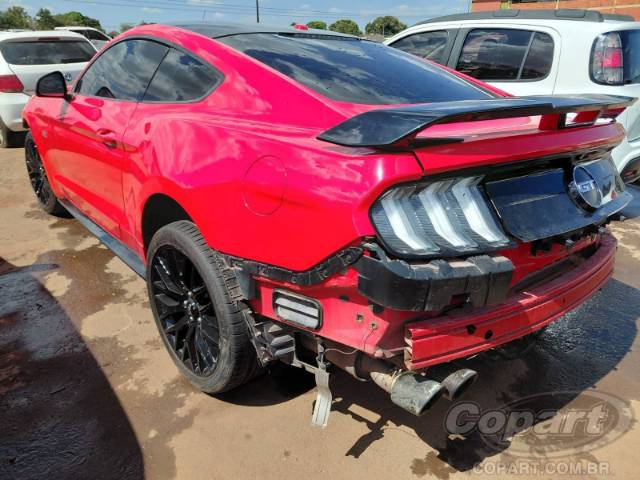 2019 FORD MUSTANG 