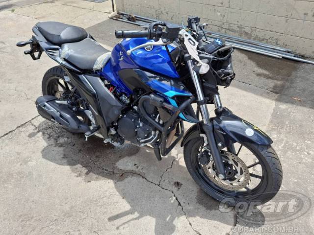 2024 YAMAHA FZ25 FAZER 