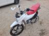 2019 HONDA POP 