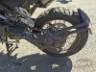 2024 TRIUMPH TIGER 