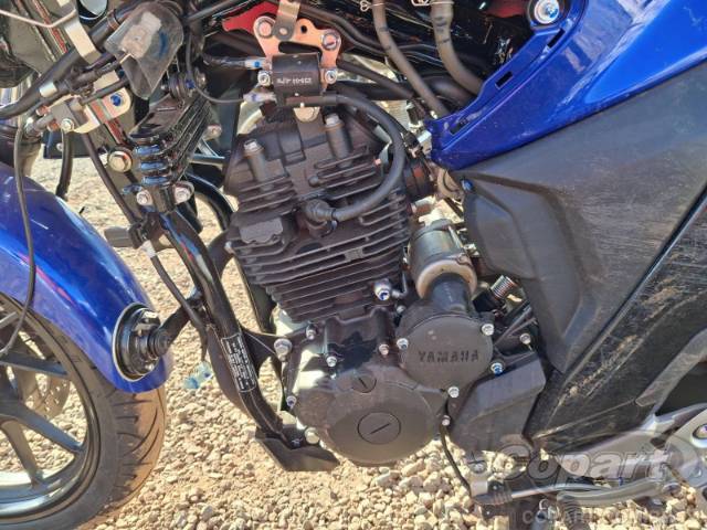 2025 YAMAHA FZ25 FAZER 