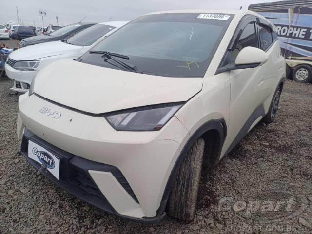 2026 BYD DOLPHIN MINI 