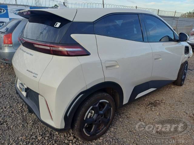 2025 BYD DOLPHIN MINI 