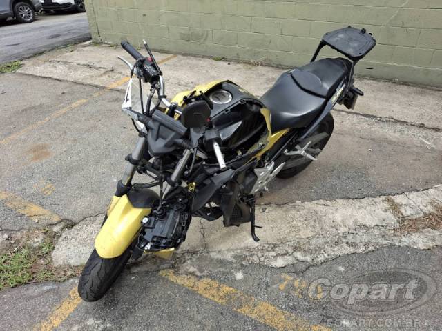 2024 HONDA CB 300F 