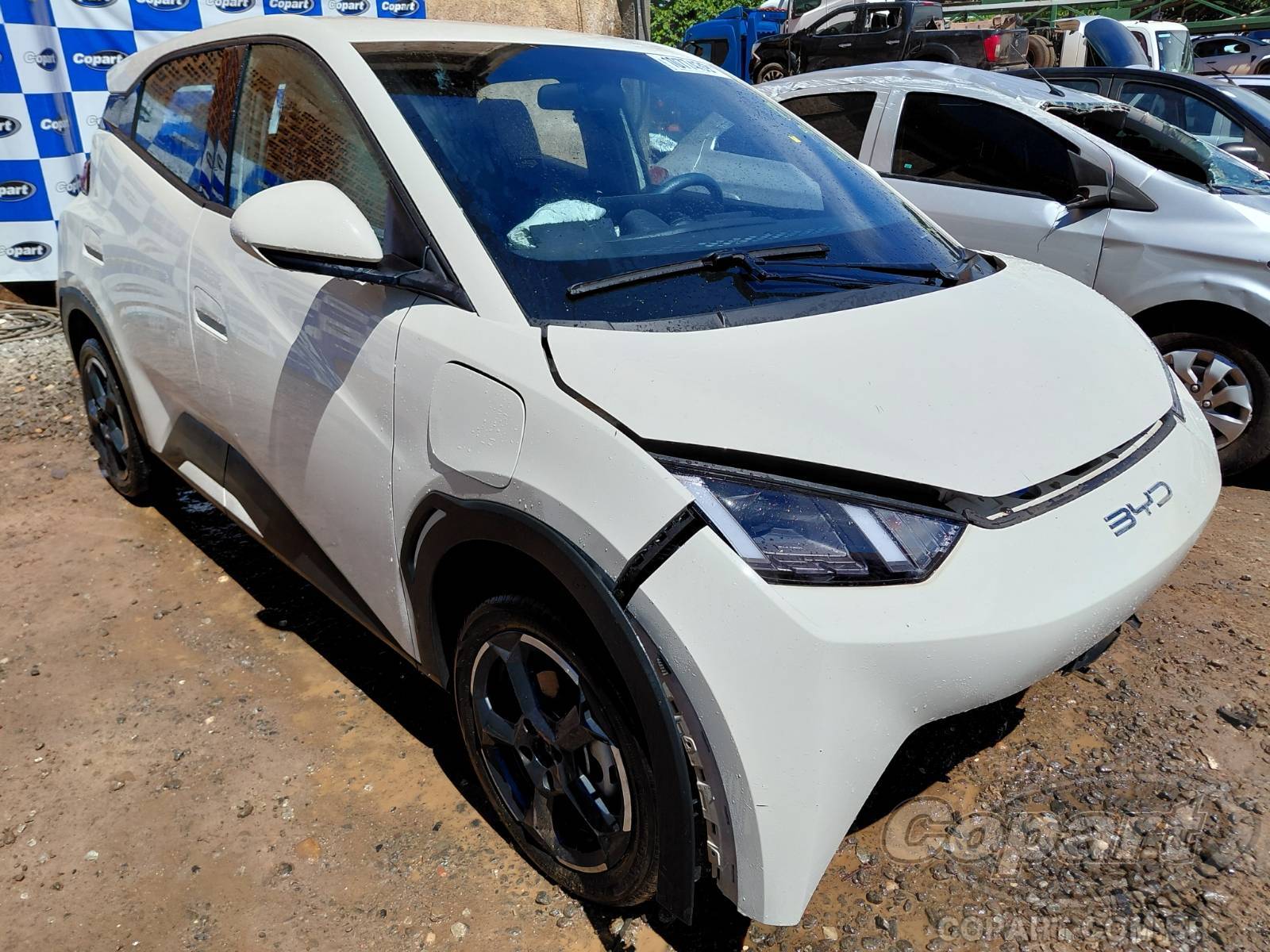 Veículo BYD Dolphin BYD Dolphin Mini 2025 2025 em leilão