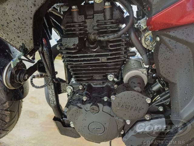 2024 YAMAHA FZ25 FAZER 