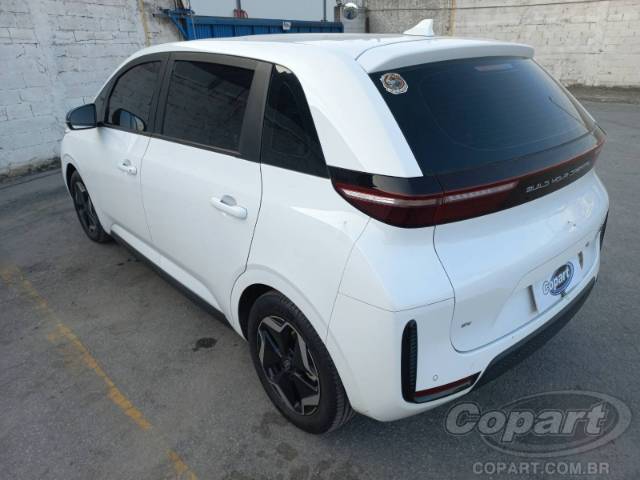 2023 BYD D1 
