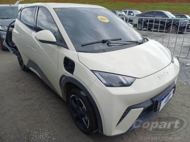 2025 BYD DOLPHIN MINI 