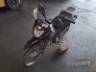 2025 HONDA POP 