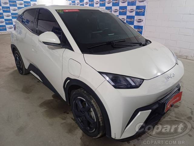 2025 BYD DOLPHIN MINI 