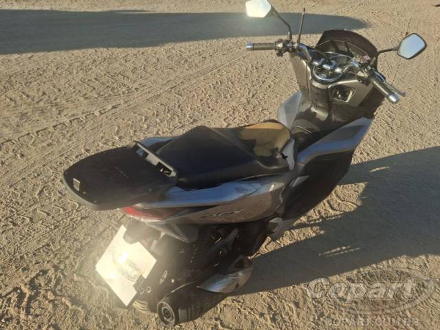 2019 HONDA PCX 