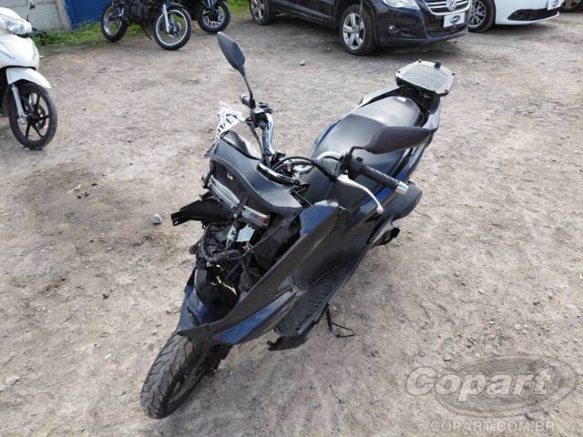 2024 HONDA PCX 