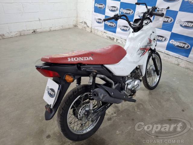 2025 HONDA POP 