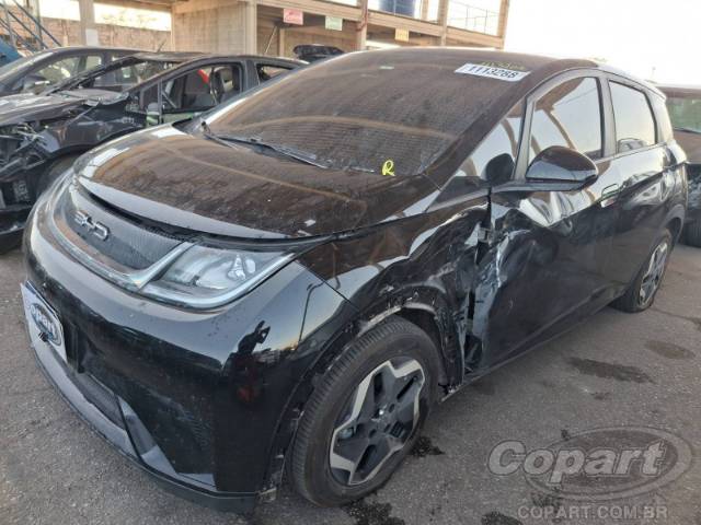 2025 BYD DOLPHIN 