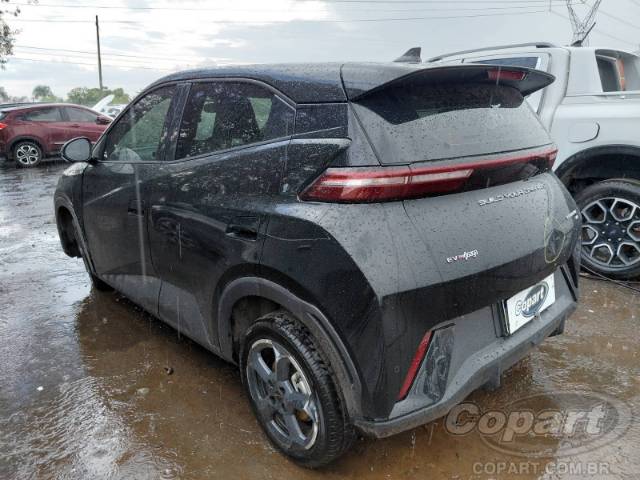 2025 BYD DOLPHIN MINI 