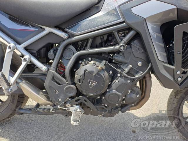 2024 TRIUMPH TIGER 