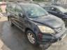 2010 HONDA CR-V 