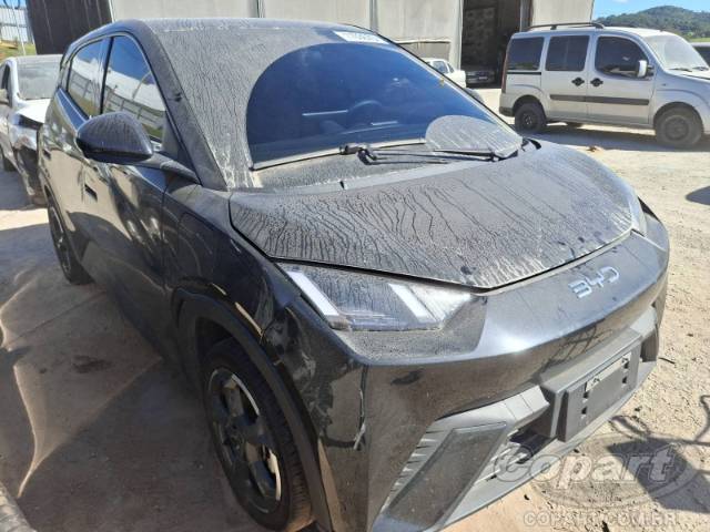 2025 BYD DOLPHIN MINI 