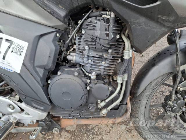 2024 YAMAHA FZ25 FAZER 