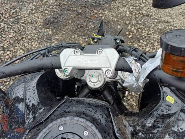 2024 TRIUMPH TIGER 