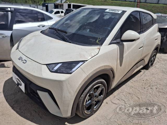 2025 BYD DOLPHIN MINI 