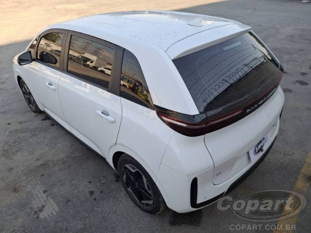 2023 BYD D1 
