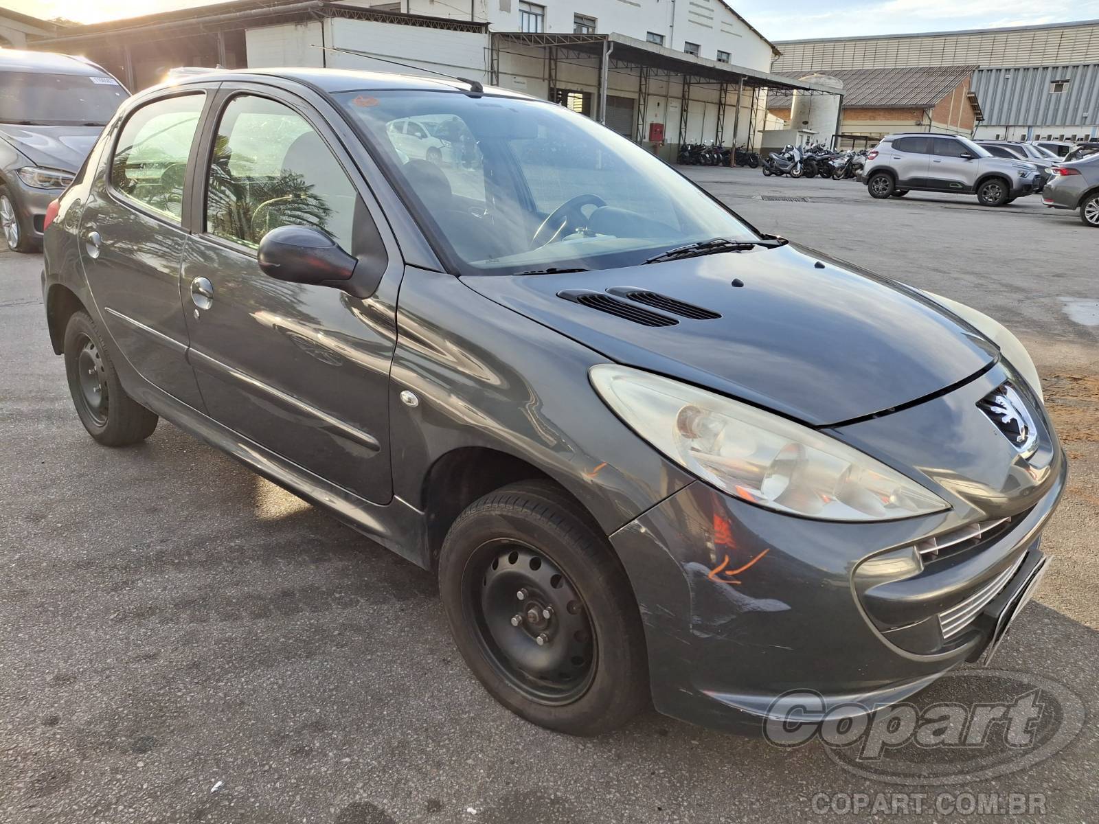 Peugeot 207 2012 Flex