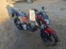 2025 HONDA CB 300F 