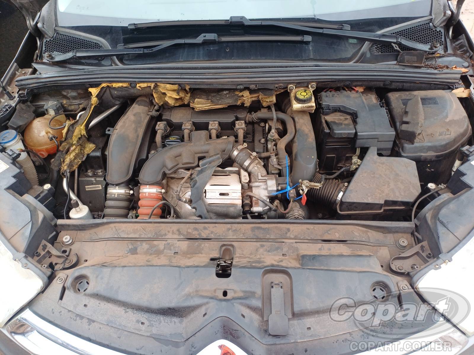 Foto 7 de 10: 2015 CITROEN C4 LOUNGE