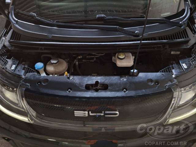 2025 BYD DOLPHIN 