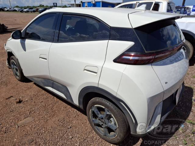 2025 BYD DOLPHIN MINI 